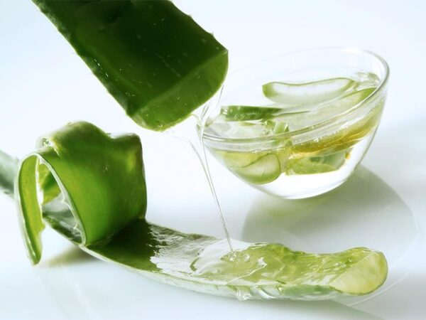 Aloe Vera Carrier Oil - Image 2