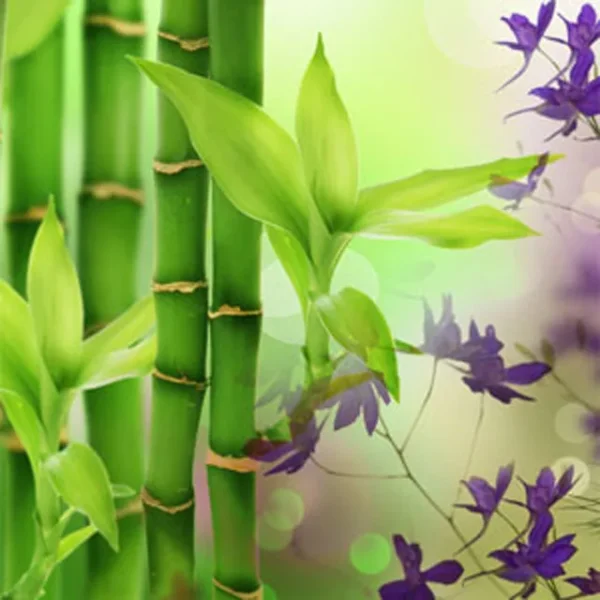 Australian Bamboo Grass Fragrance Oil - Nature Garden