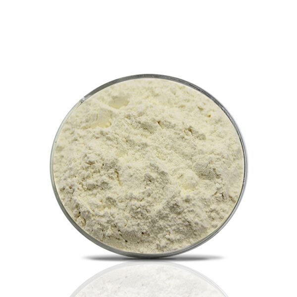 Aloe Vera Extract Powder-200X